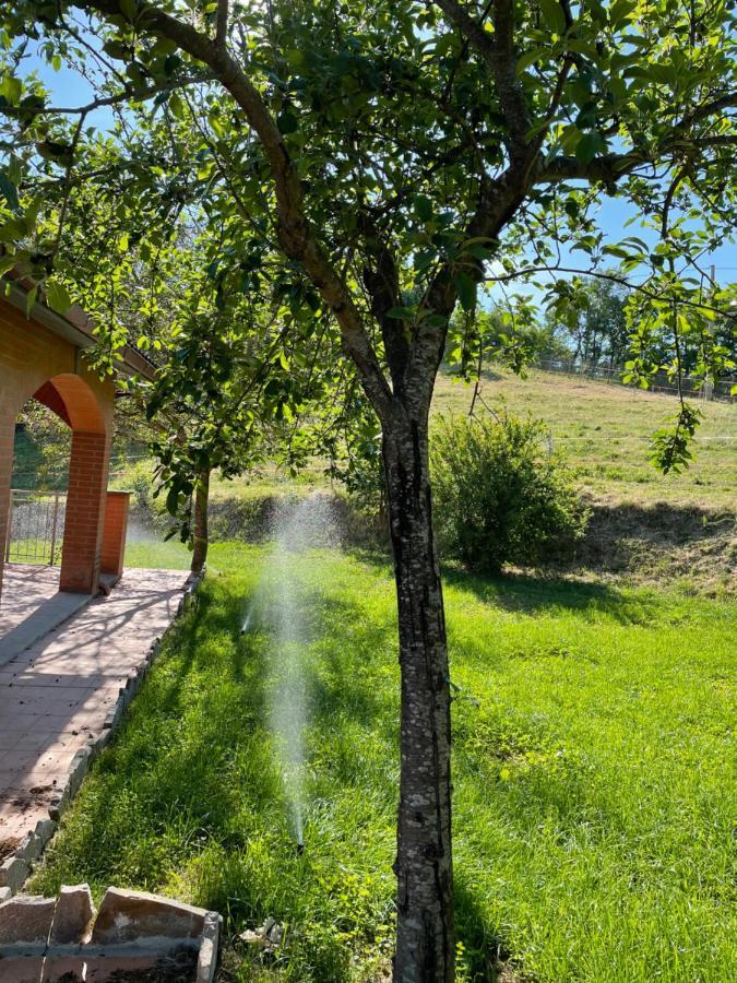 Luxury Villa Arianna Tarano Екстериор снимка